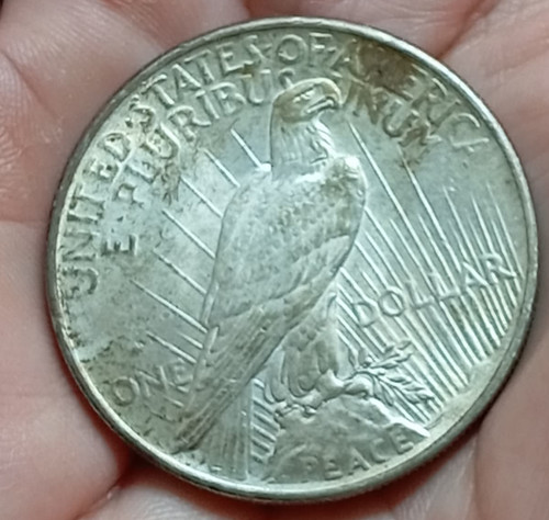 Moneta usa dollaro peace - dollaro,